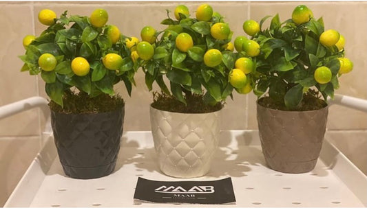 White Plant Decor